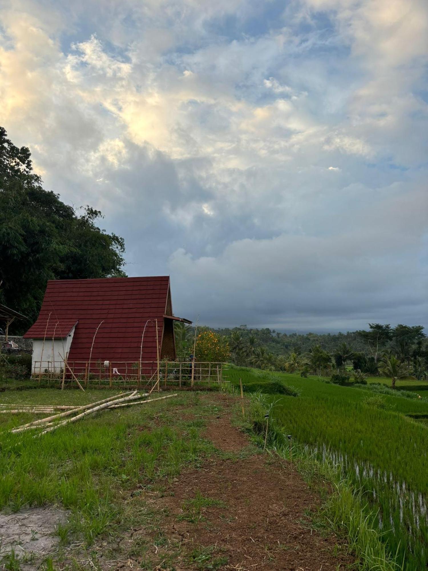 Muni'S Terrace Bungalow Kotaraja Экстерьер фото