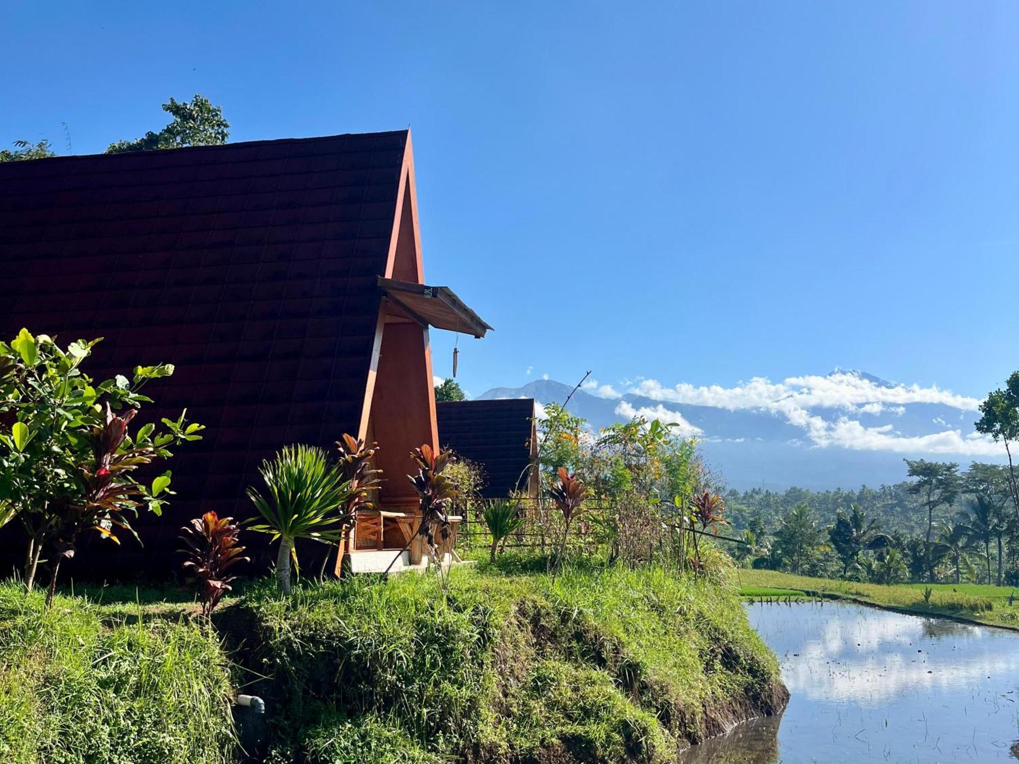 Muni'S Terrace Bungalow Kotaraja Экстерьер фото